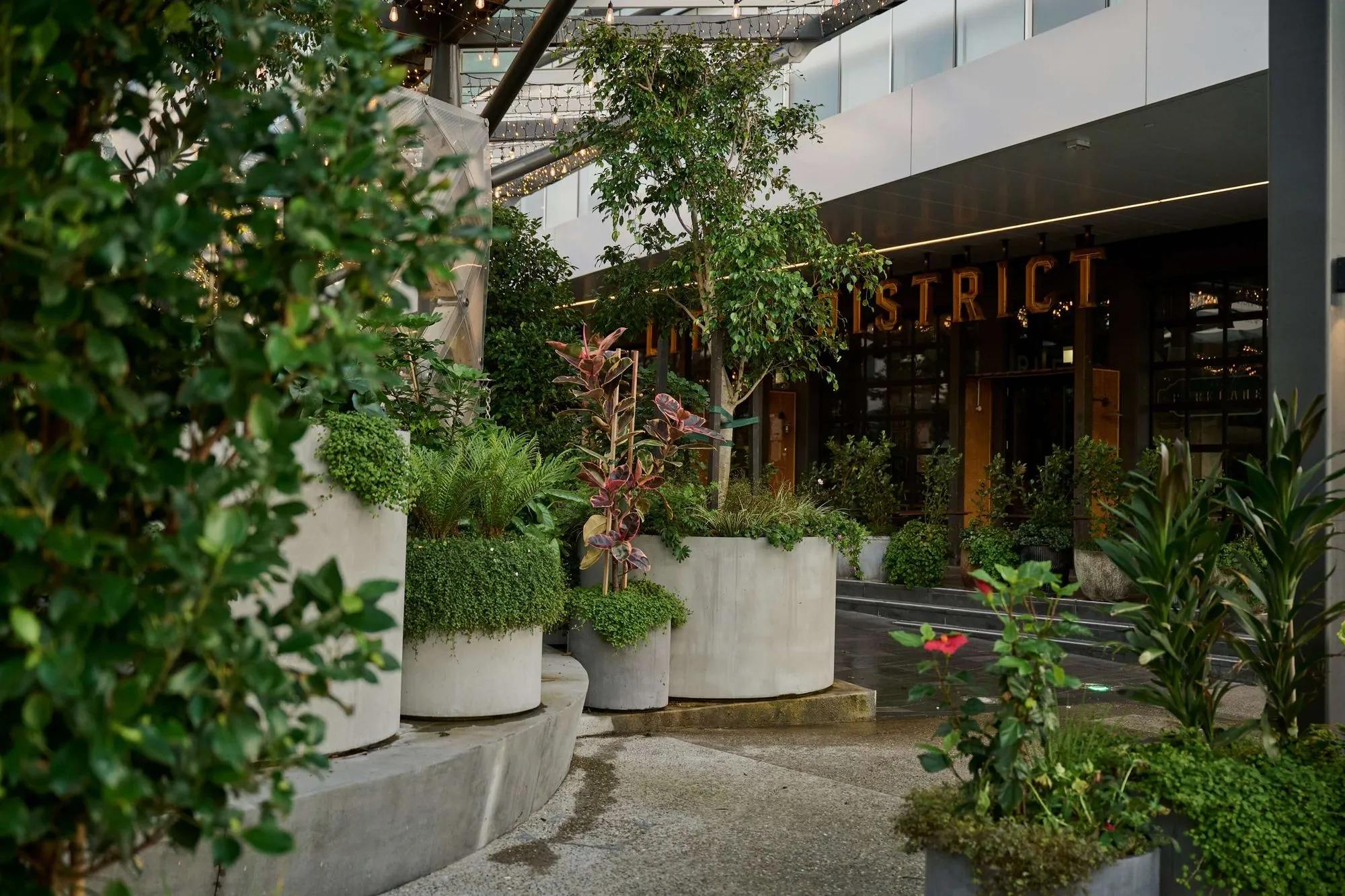 Beautiful greenery reinforces Sylvia Park as a retail destination of choice and helps support its commercial goals.
