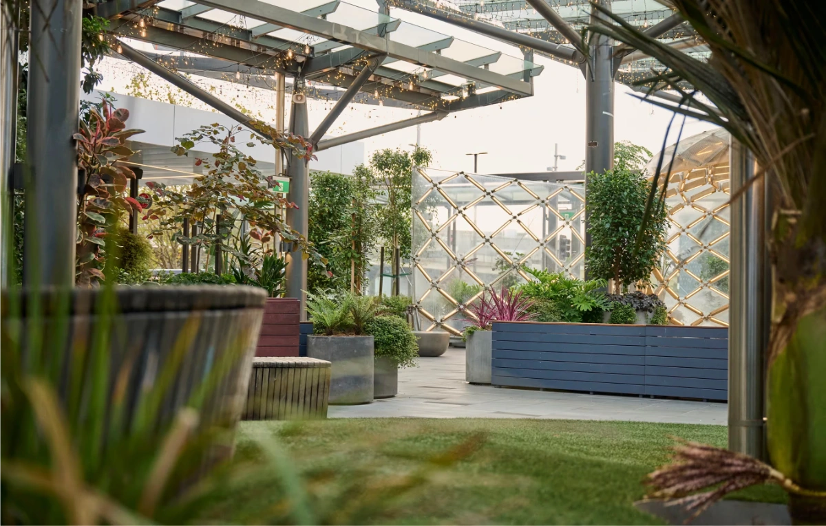 Covered terrace with mixed planters, lawn and blue timber garden beds at Sylvia Park