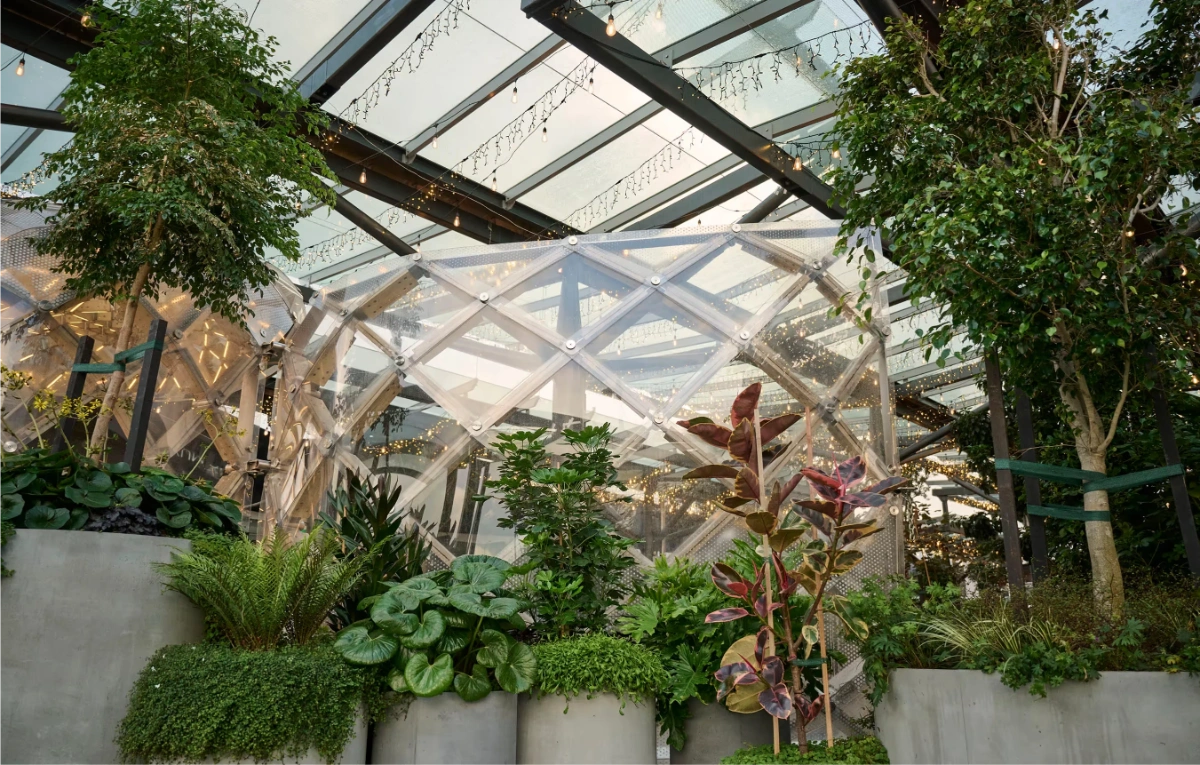Geodesic dome surrounded by tropical planting in concrete planters at Sylvia Park