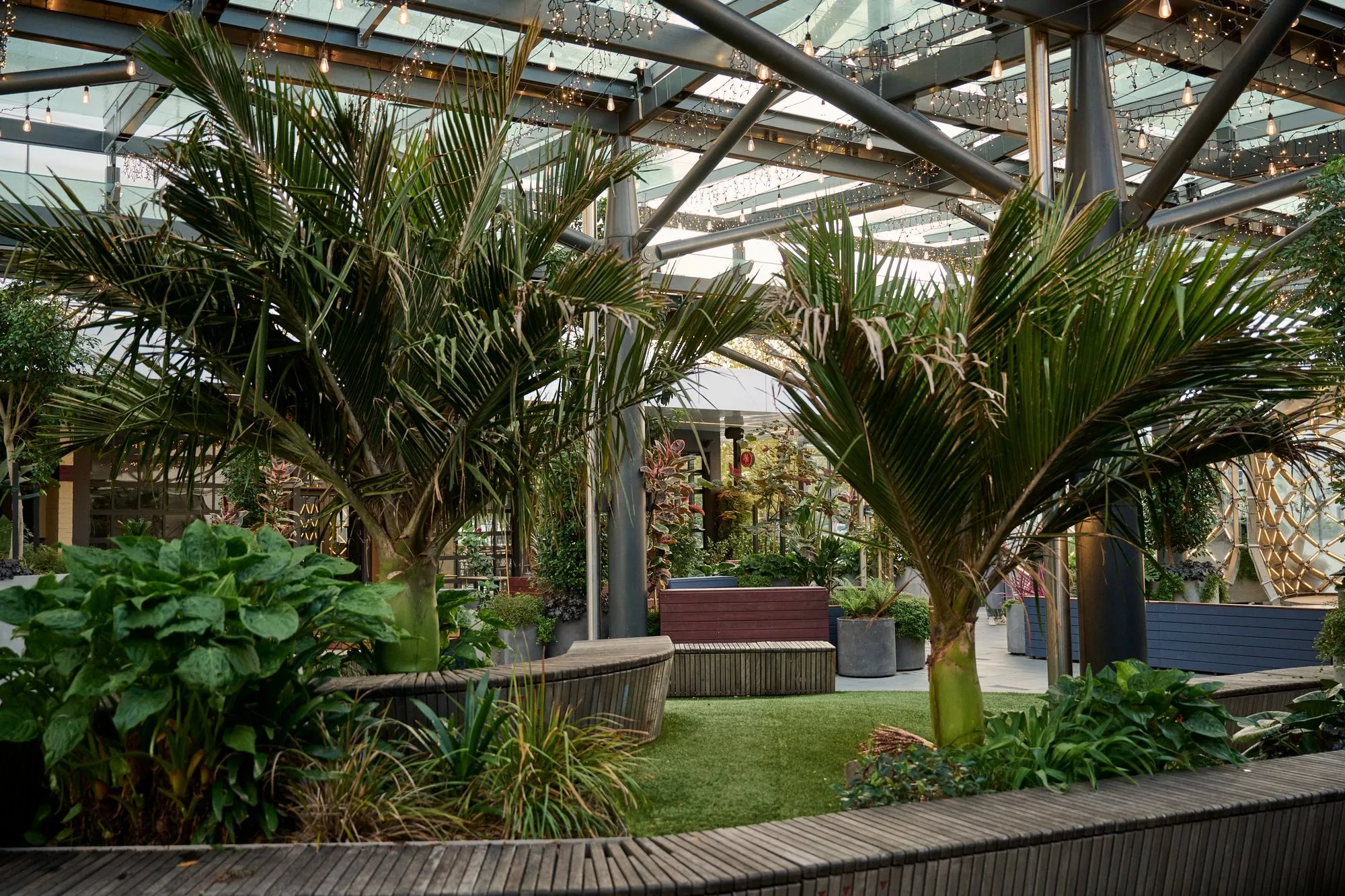 Nikau palms and layered planting beneath the glass canopy at Sylvia Park