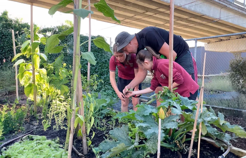 An Outside In horticulturalist helps school students tend vegetables in the Sylvia Park community garden