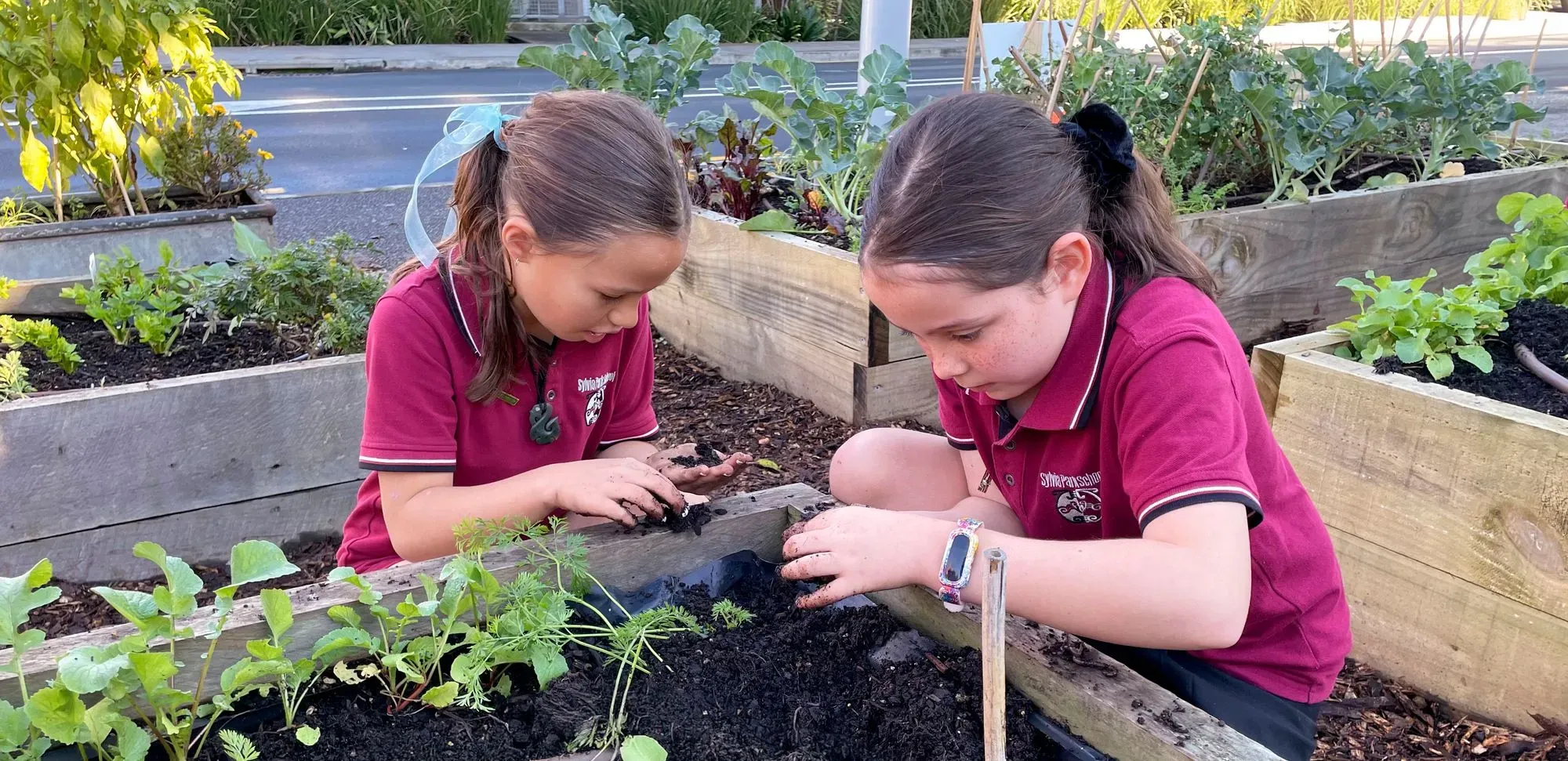 Two school students planting seedlings in a raised garden bed at Sylvia Park