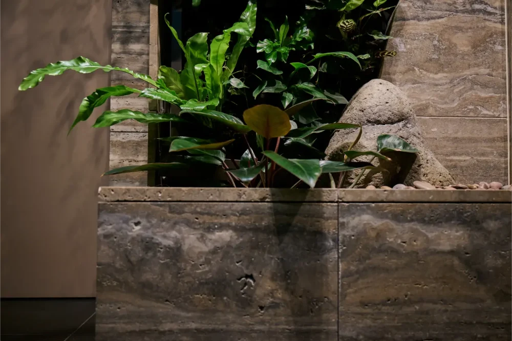 Travertine planter with bird's nest ferns and tropical foliage beside a boulder