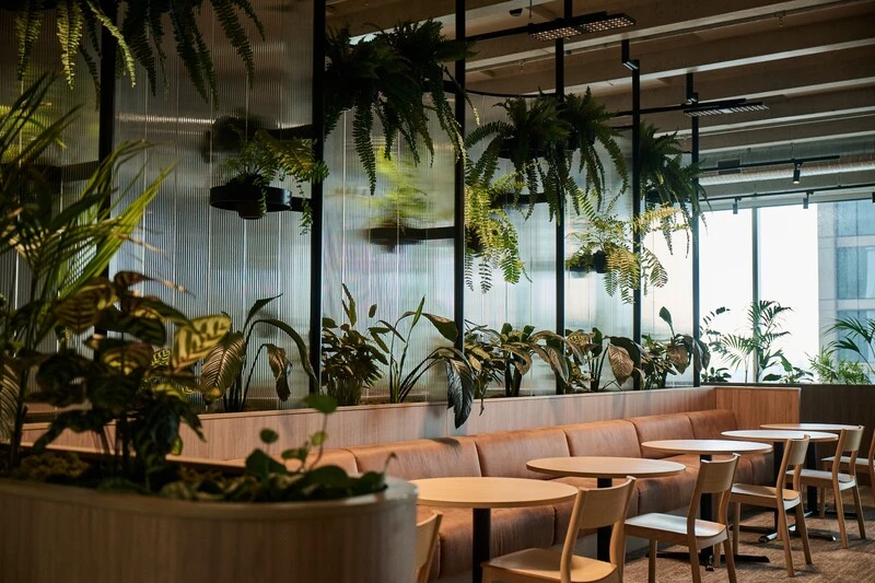 UDC Finance breakout area with booth seating, round tables and planters under hanging ferns