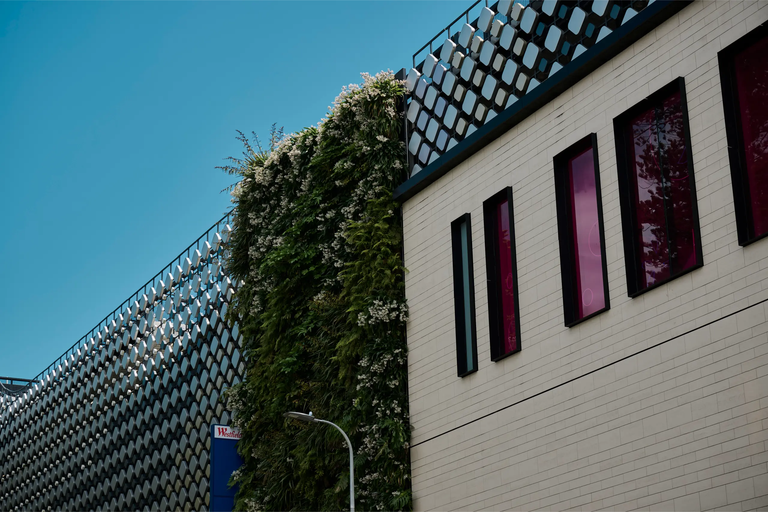 Vertical garden climbing a patterned building facade against a blue sky