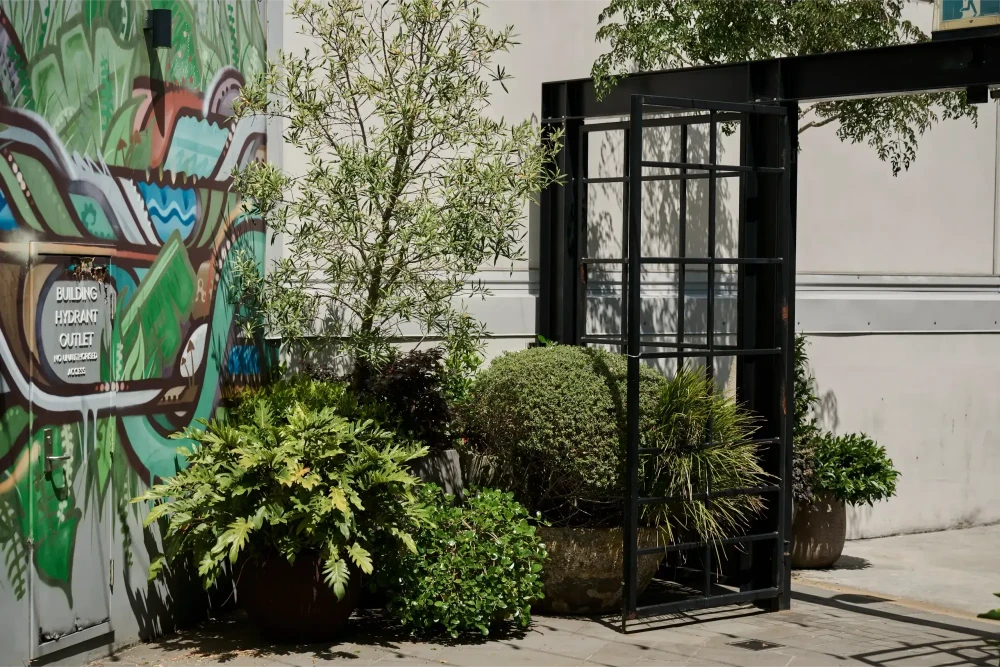 Potted shrubs and ferns beside a black steel doorway and a painted mural