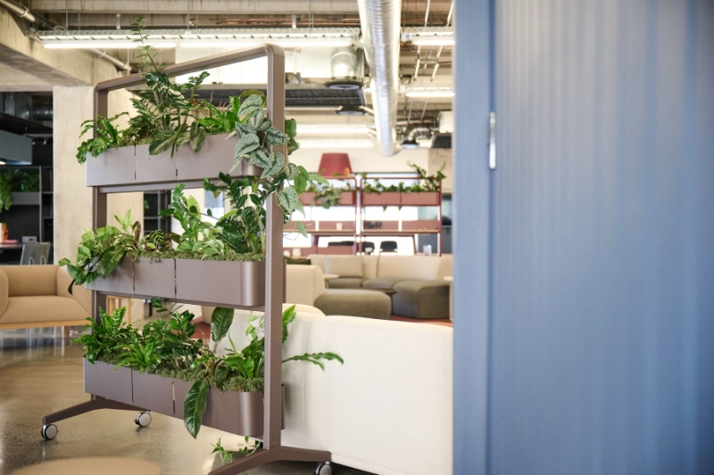 Mobile planter screen with tiered troughs of tropical plants in a Zenith office lounge