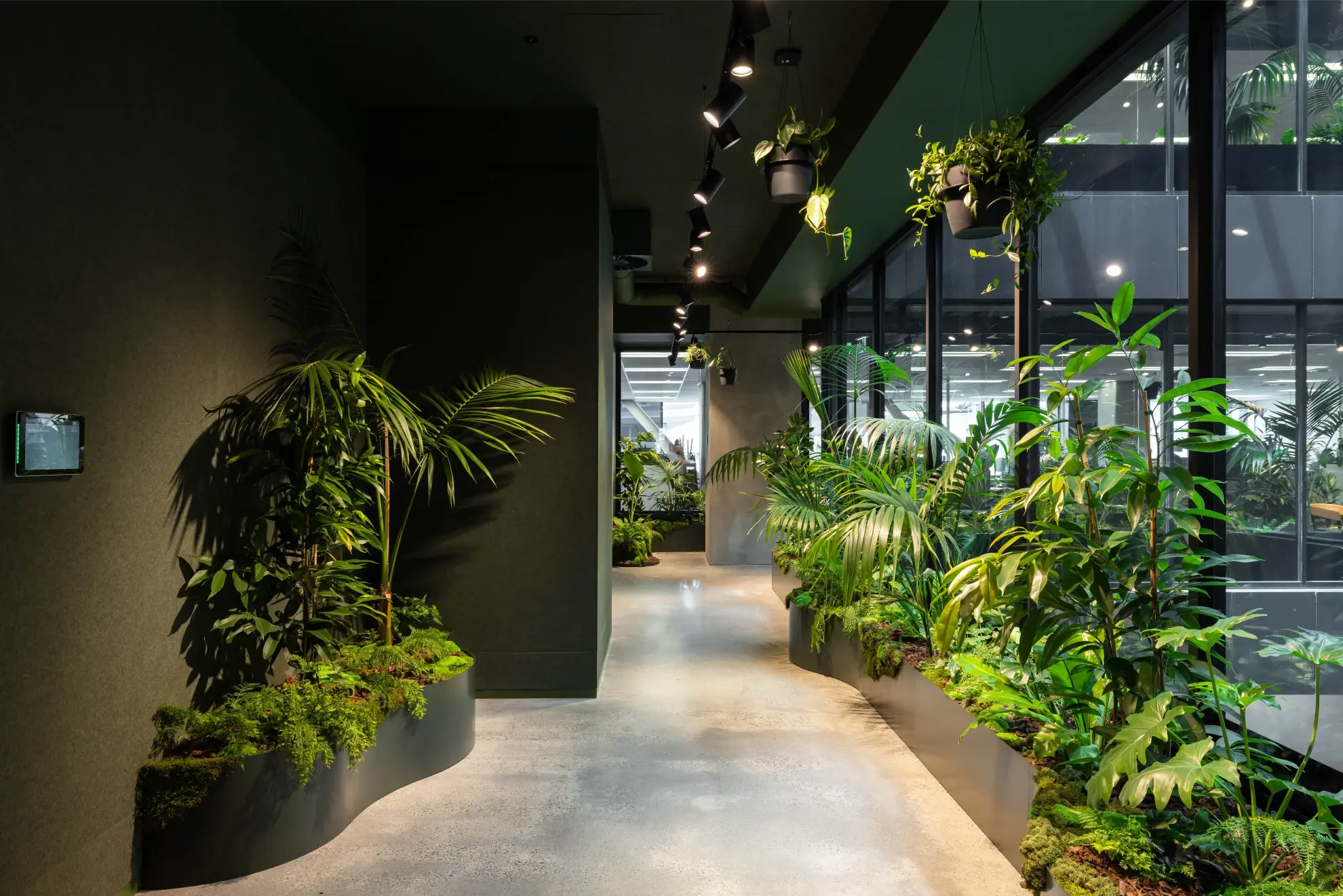 Winding Forest Floor planting of palms, ferns and moss beside a full length window at MC