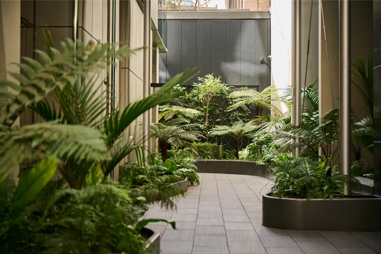 Laneway lined with ferns, tropical planting and timber benches beside an illuminated bird artwork panel at 50 Albert Street.