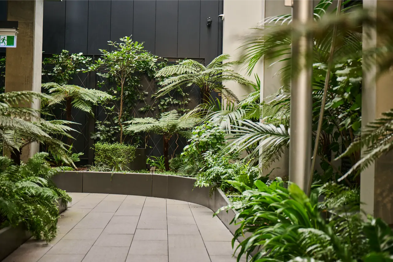 A tree fern and layered fern species in metal planters along a covered outdoor walkway.