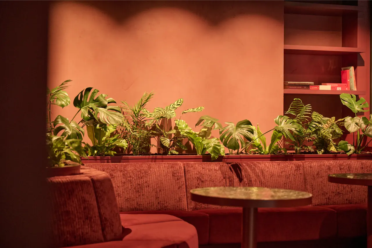 banquette planter close, Monstera and Calathea detail): Close detail of the Kernal Wealth banquette planter showing layered Monstera, Calathea makoyana and tropical foliage glowing against the warm monochromatic interior.