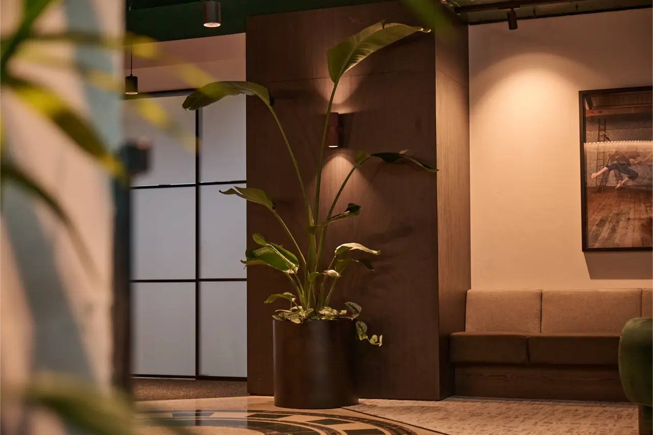 Strelitzia against dark timber panel, banquette behind): Large Strelitzia nicolai in a dark cylinder planter set against a warm-lit timber panel in the Kernal Wealth office lounge area.