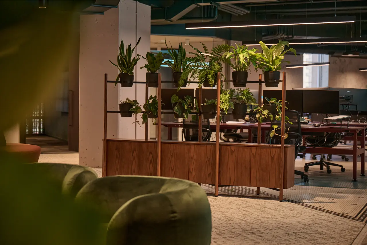 timber plant rack divider with ferns, snake plants, trailing pothos): Timber plant-rack divider layered with ferns, snake plants and trailing pothos, creating a natural zone divider between the lounge and open-plan workspace at Kernal Wealth.