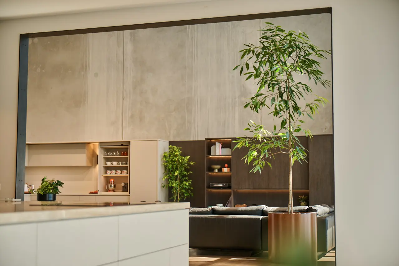 Ficus in corten planter framed by open-plan showroom, kitchen and lounge beyond): Ficus tree in a corten planter seen through the Blum New Zealand showroom's open-plan space, with the kitchen display, lounge seating and further planting visible beyond.