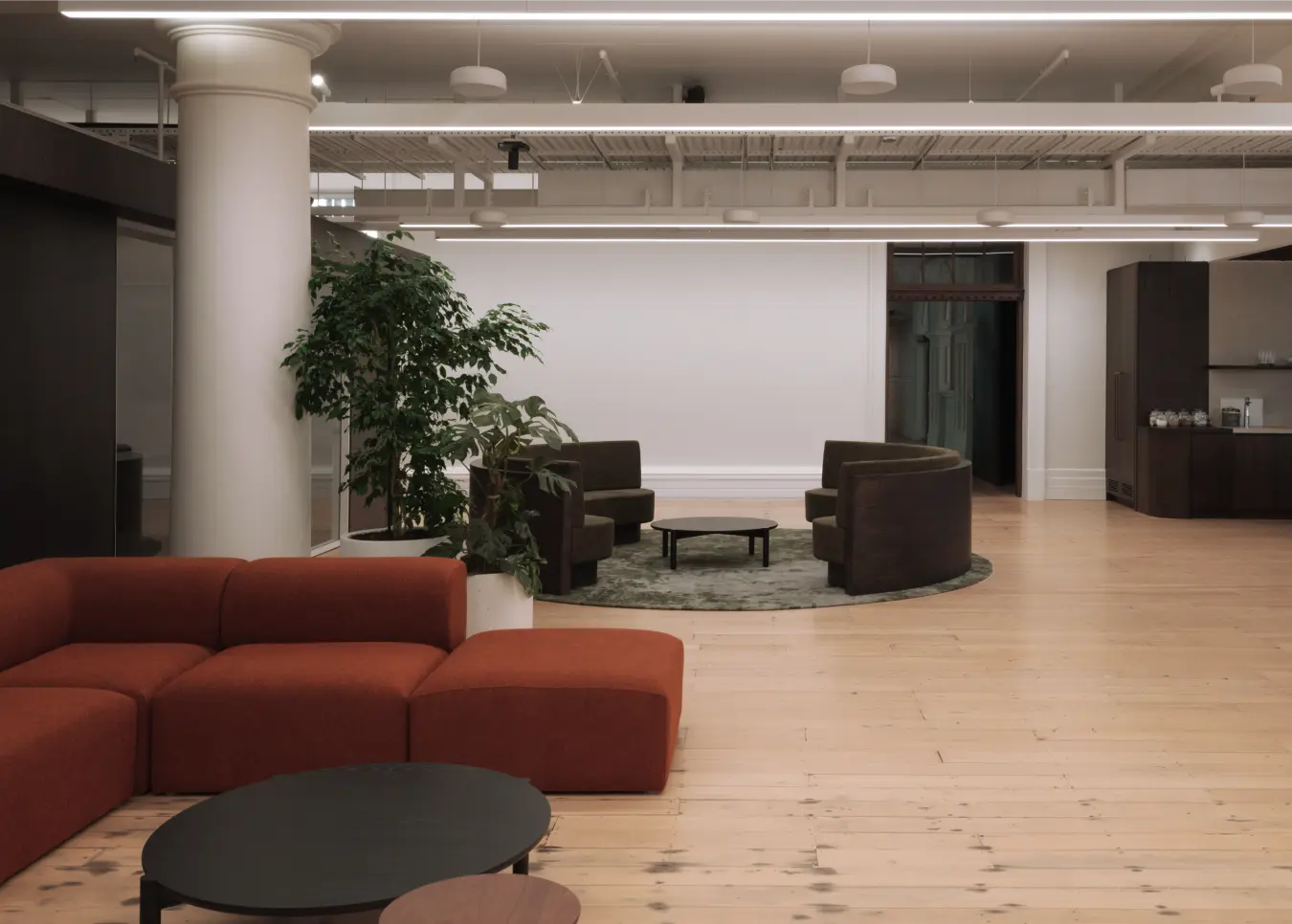 wide open plan, twin sofas, kentia palm between meeting rooms