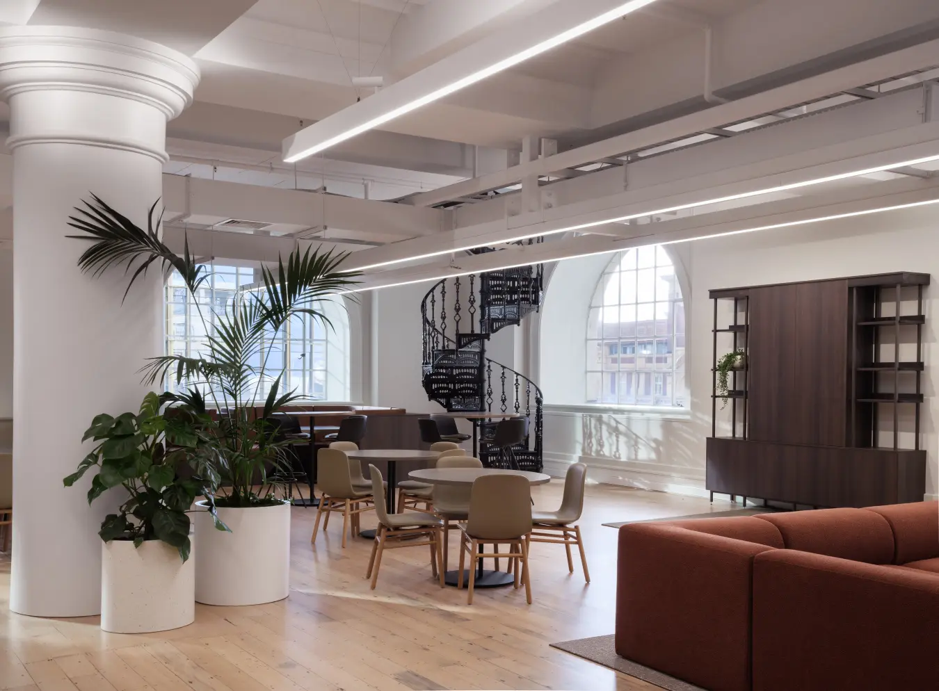 Kentia palms in white planters in the NZ Super Fund office