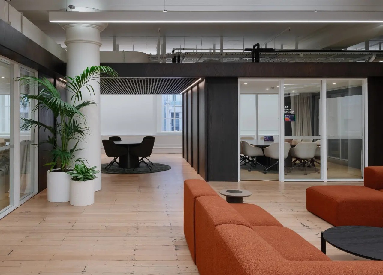 Kentia palms in white planters beside lounge seating at NZ Super Fund