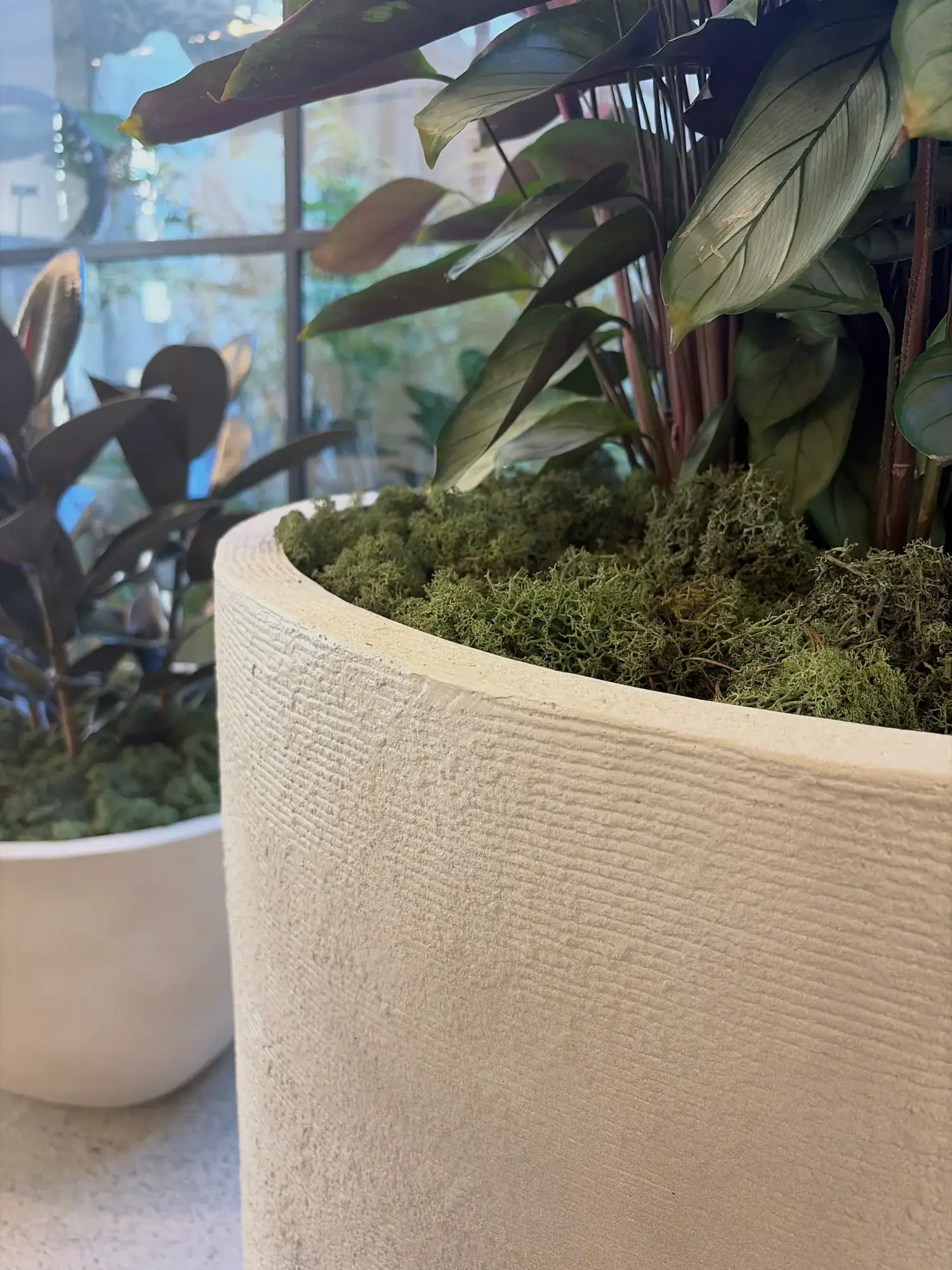 Close-up of the ridged texture of a Terra Curve planter with moss