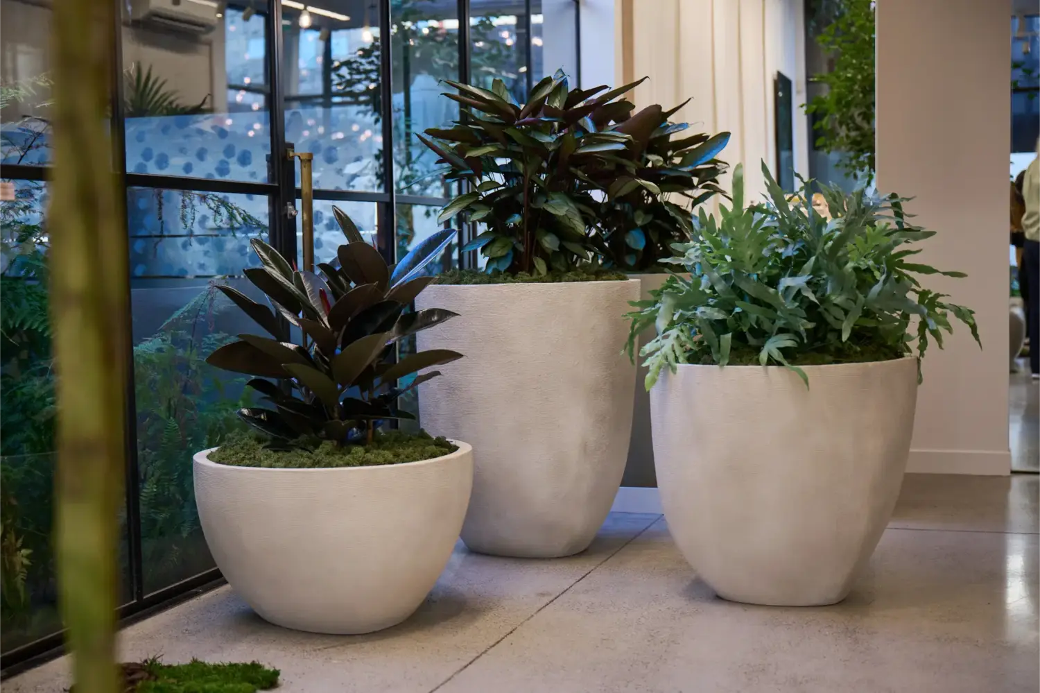 Terra Curve planters with tropical plants by a window