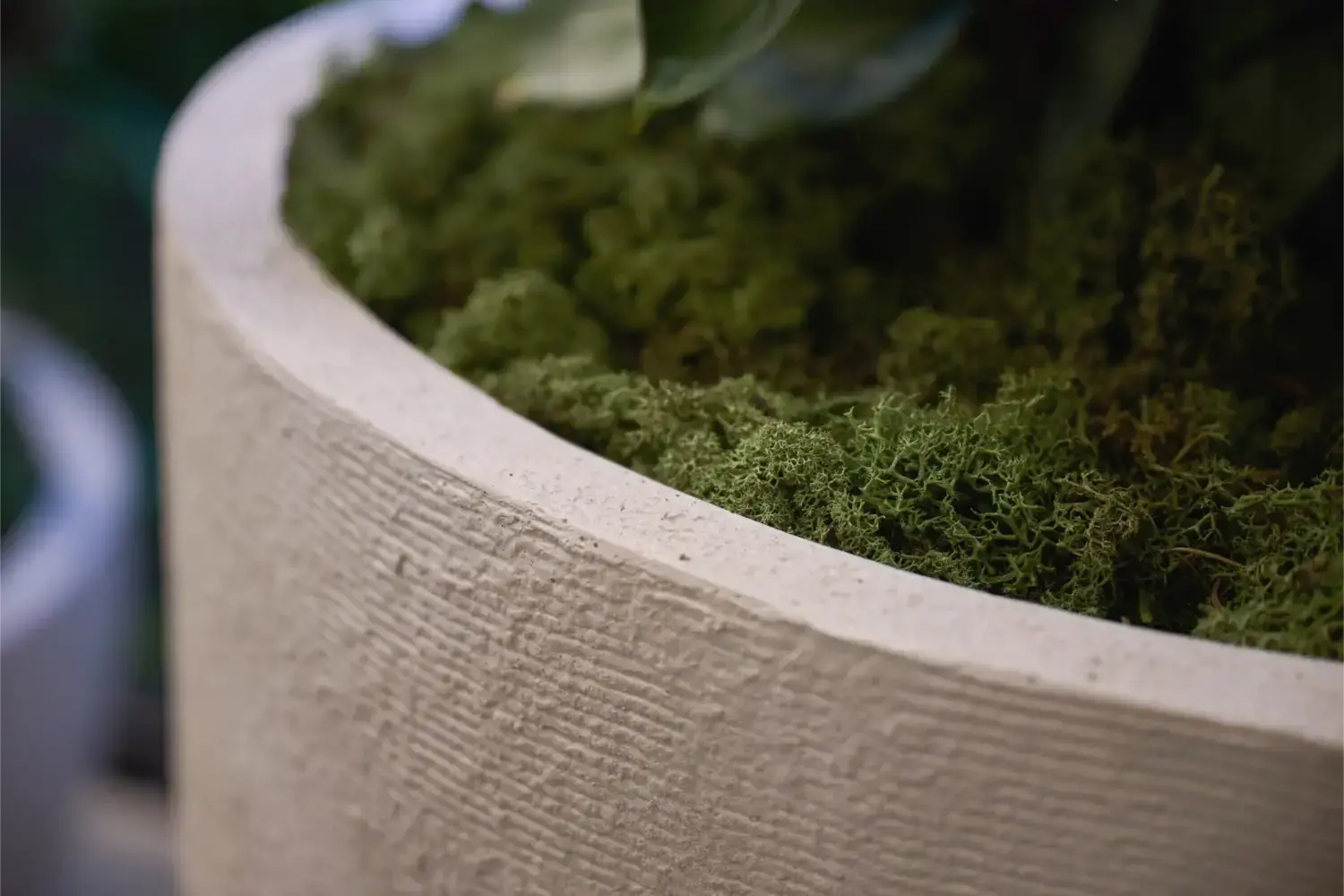 Close-up of a Terra Curve planter rim with moss