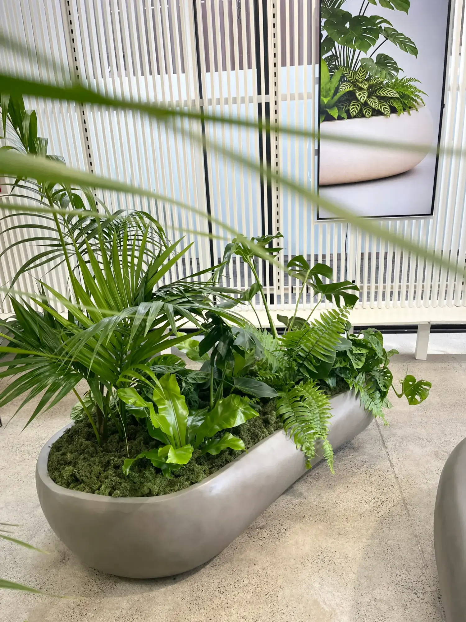 Geode planter with ferns and palms in an office lobby