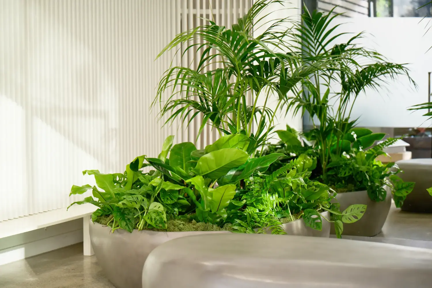 Geode planter with palms and tropical foliage against a slatted wall