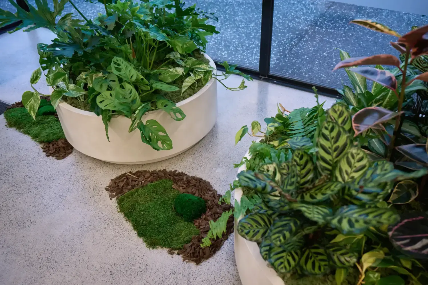 Plinth planter with trailing plants on a moss bed