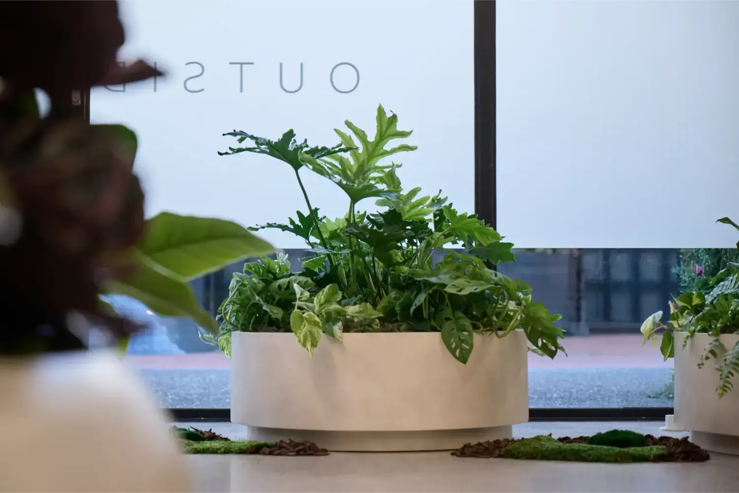 Plinth planter with foliage plants in front of an Outside In window sign