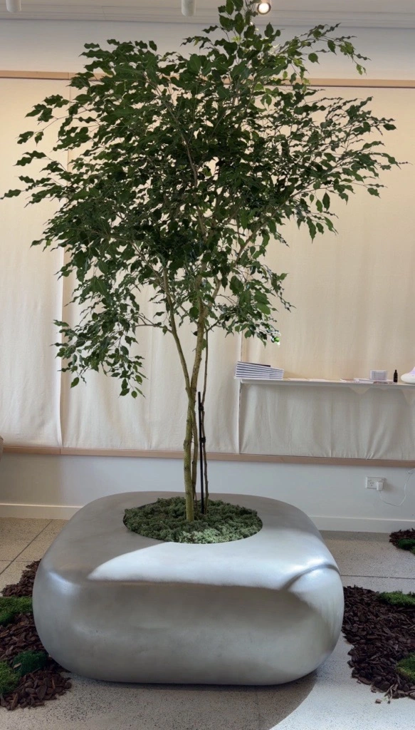 Caldera planter with an indoor tree in a modern interior