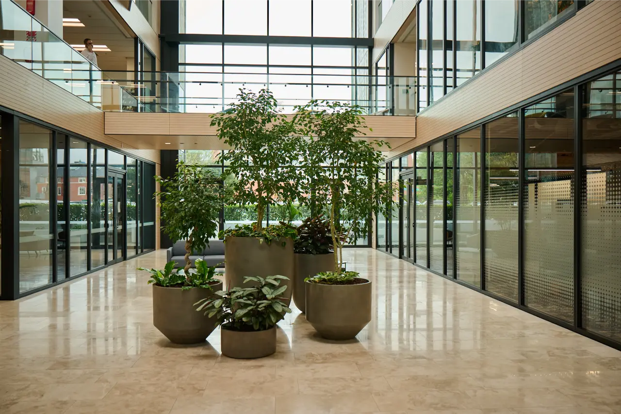 Group of Basin planters with greenery in a glass-walled atrium