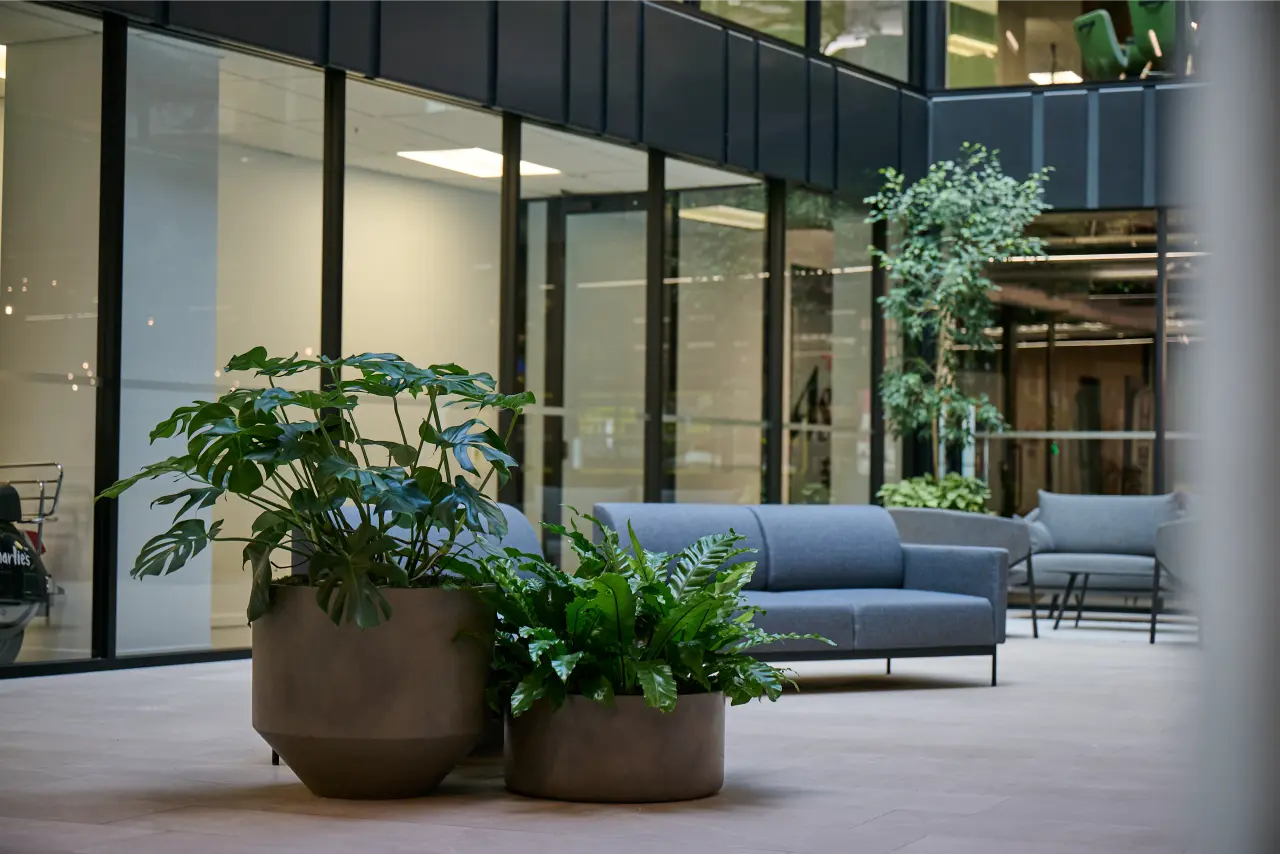 Basin planters with plants beside lounge seating
