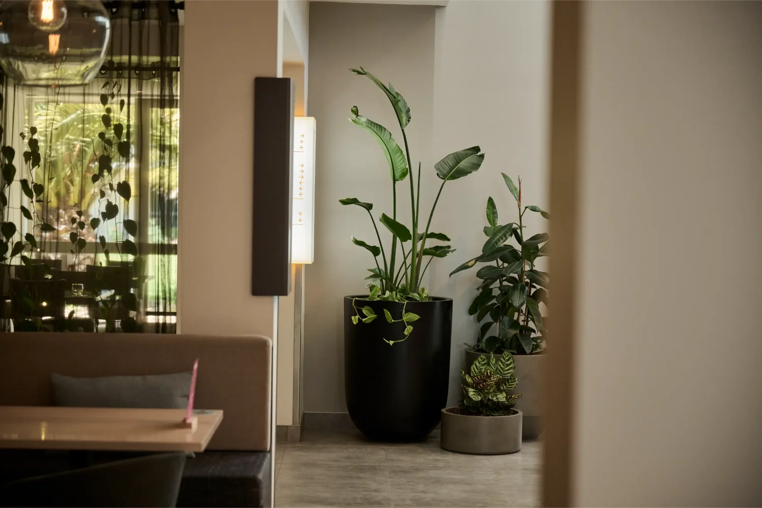 Basin planter with an indoor plant in a warm-toned interior