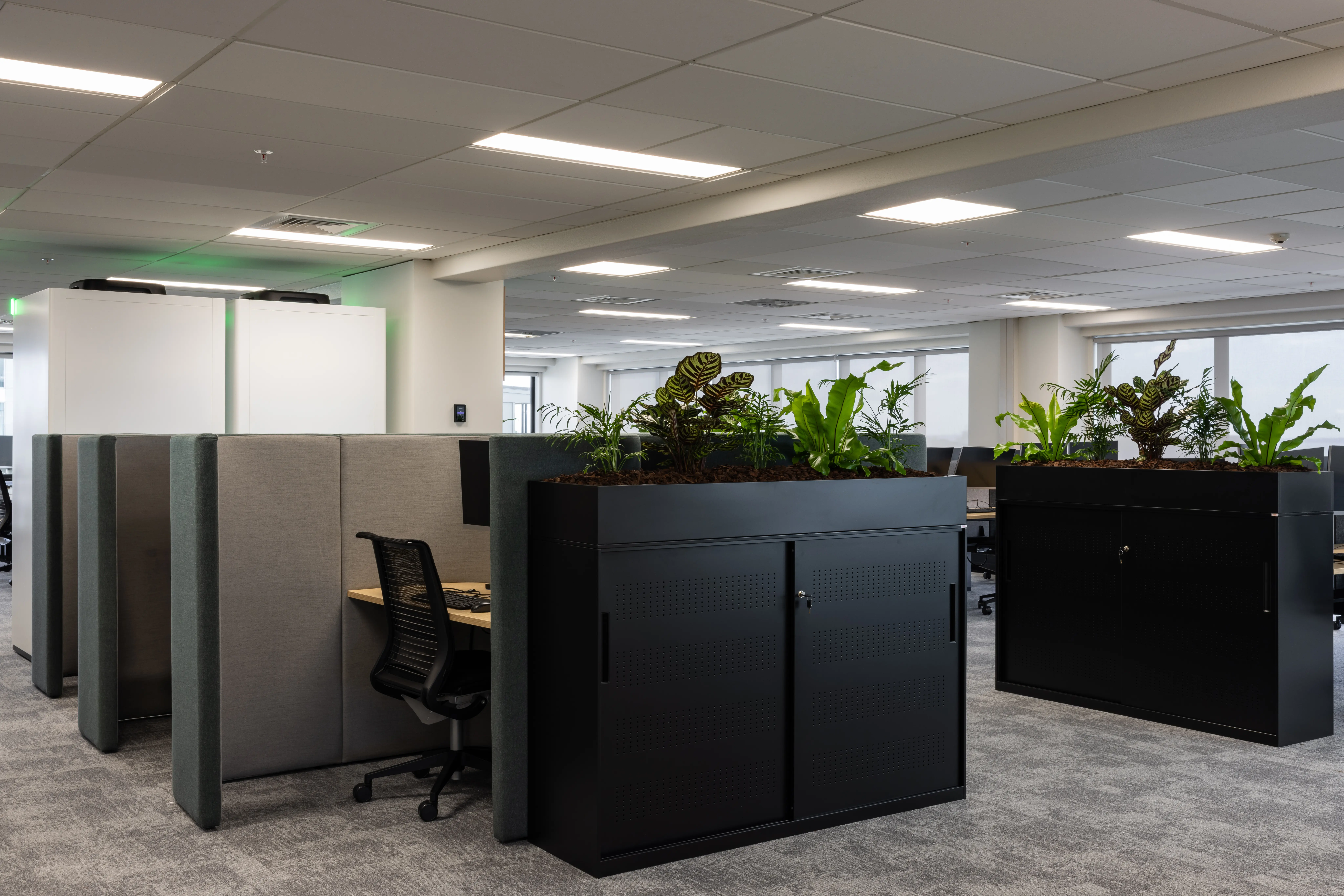 office black tambours with plants