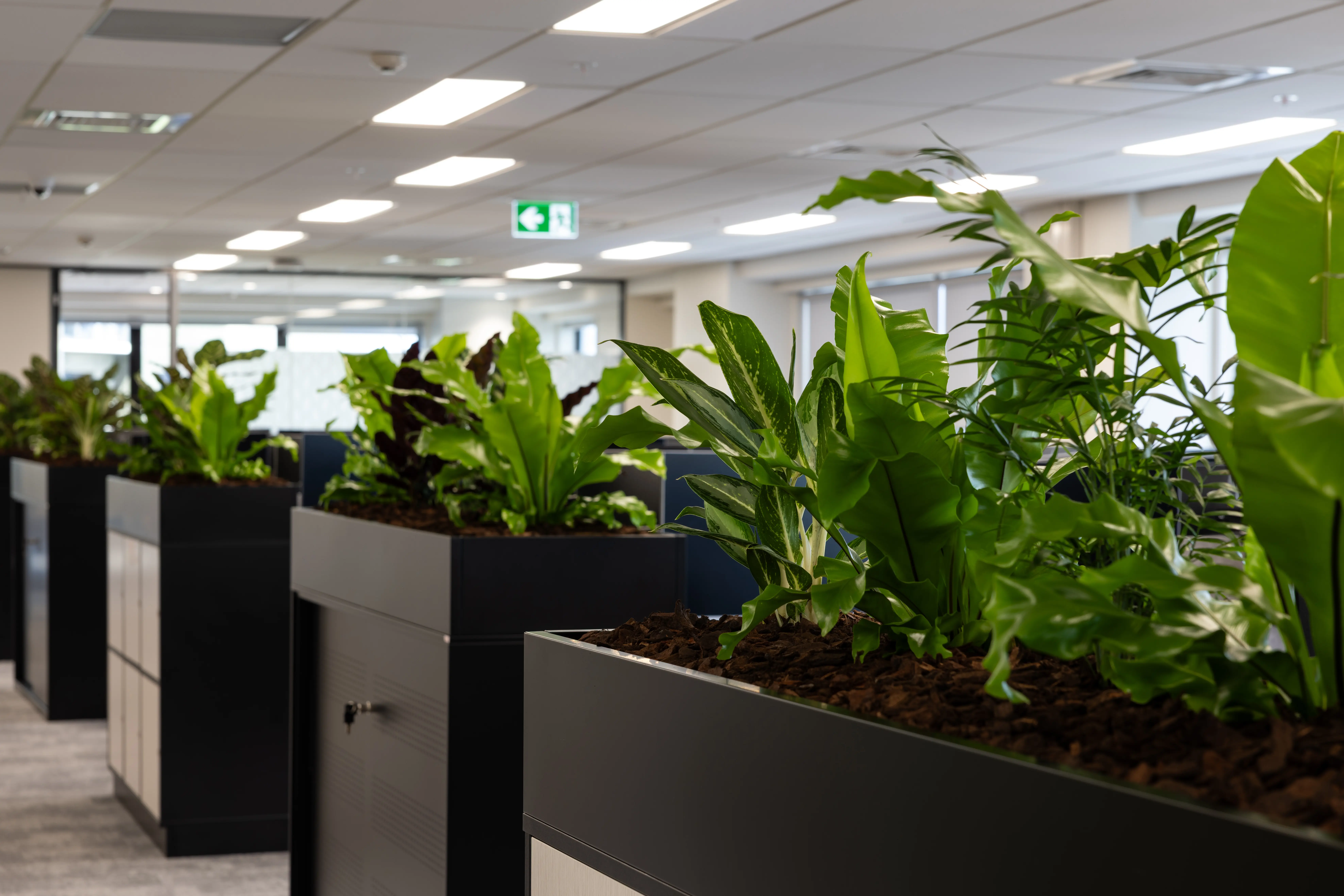 close up of tambours in office