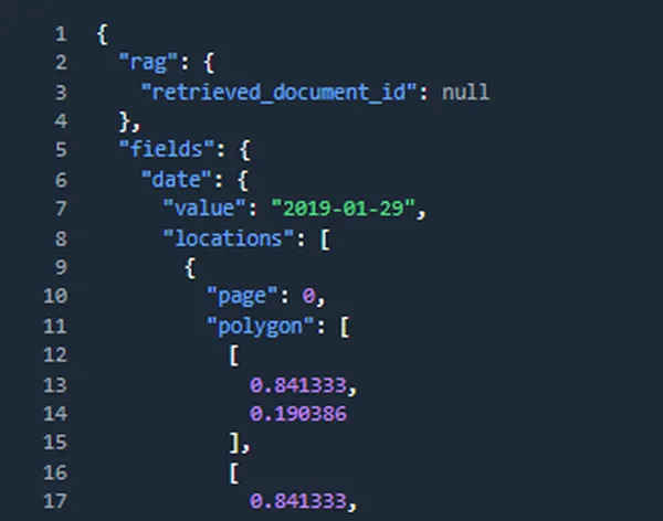 Code snippet showing a JSON structure with nested objects for 'rag' and 'fields', including a date value '2019-01-29' and location polygons with coordinates.