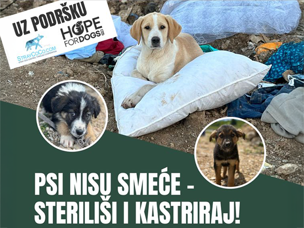 Castration project Cazin Bosnia