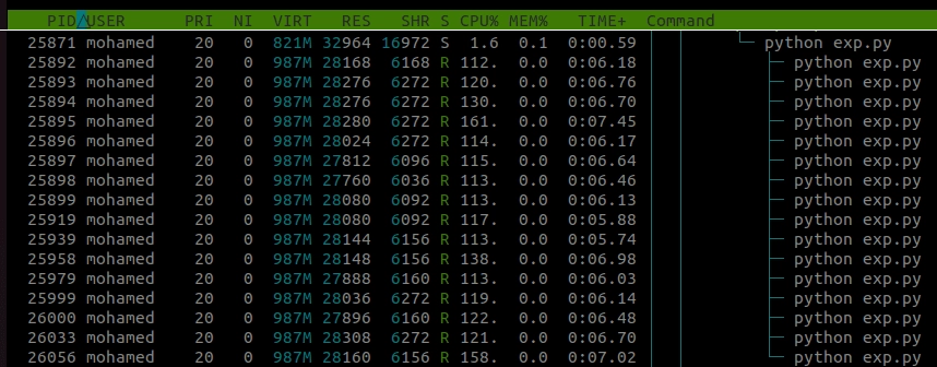 Multiprocessing python htop