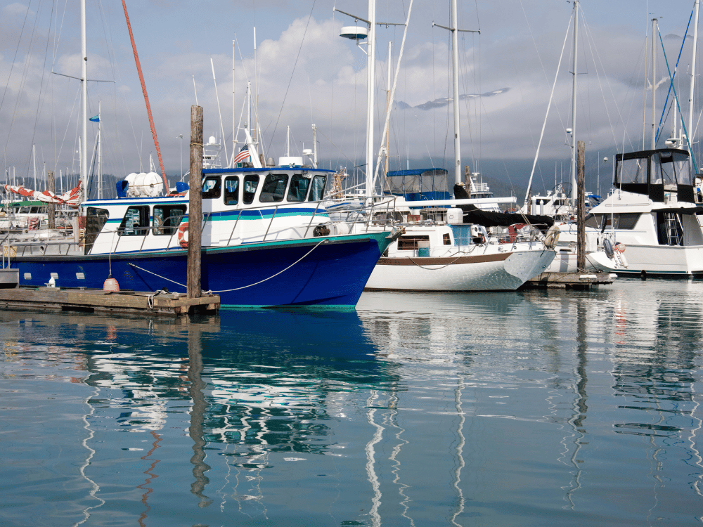 Fishing and sailboats in harbor