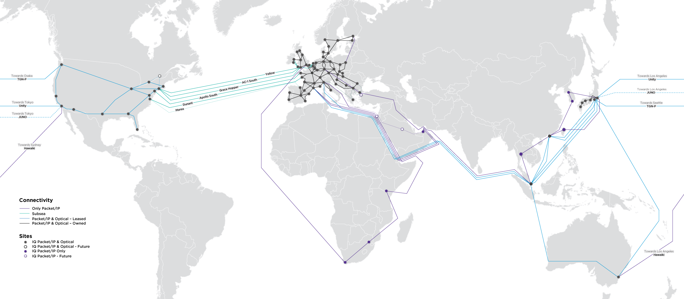 World map showing submarine cable infrastructure routes connecting North America, Europe, Asia, Africa, and Australia with labeled cables and landing points.