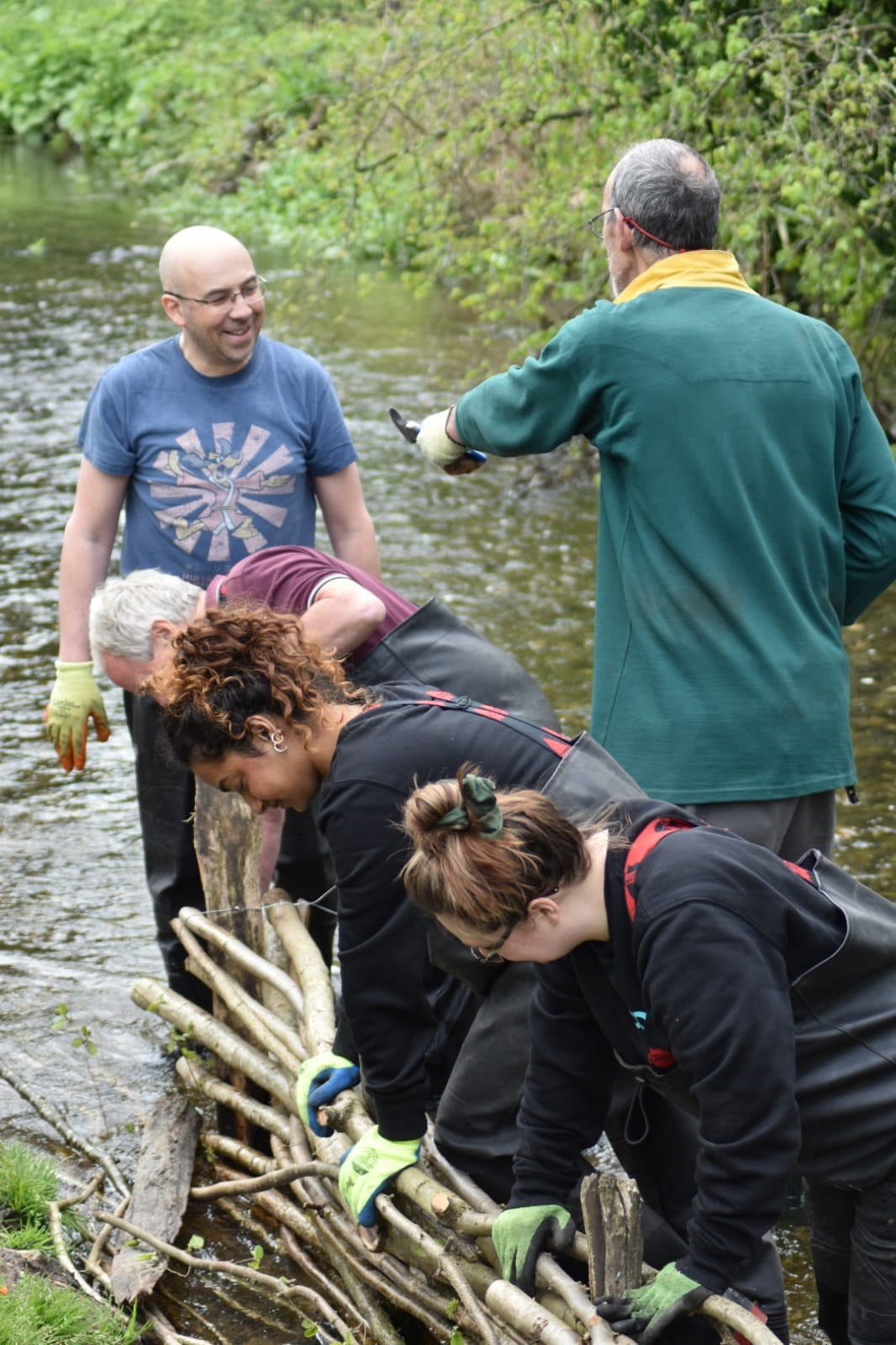 Colties helping to secure a river bed