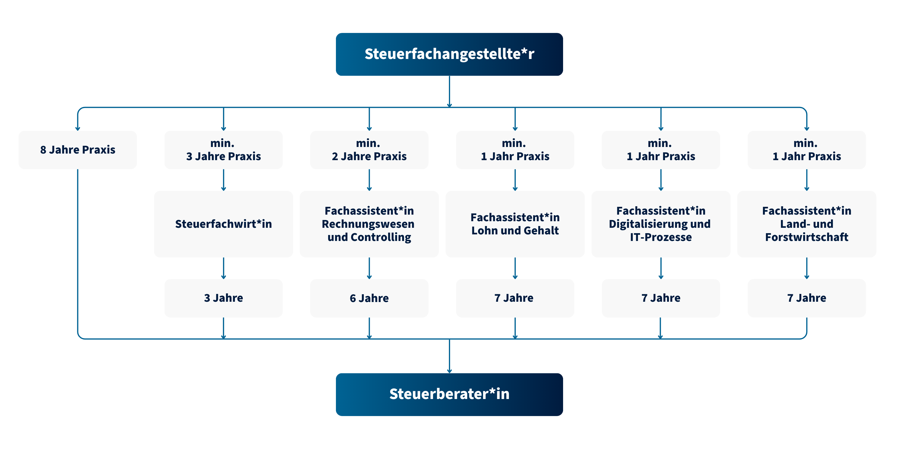 Grafische Darstellung Steuerfachangestellte