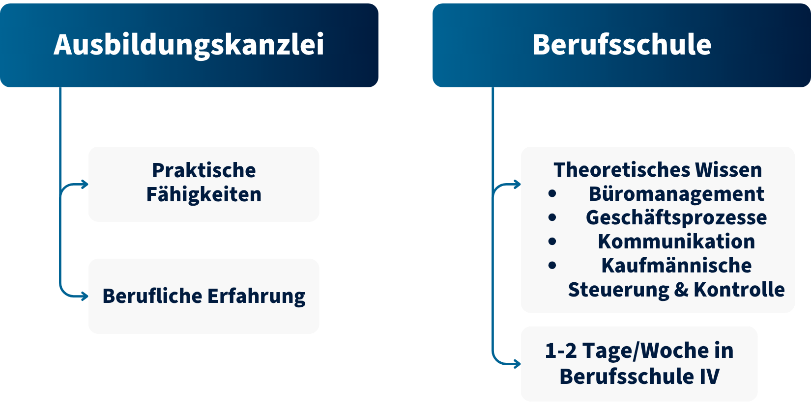 Grafische Darstellung Ausbildung Kauffrau/ Kaufmann für Büromanagement