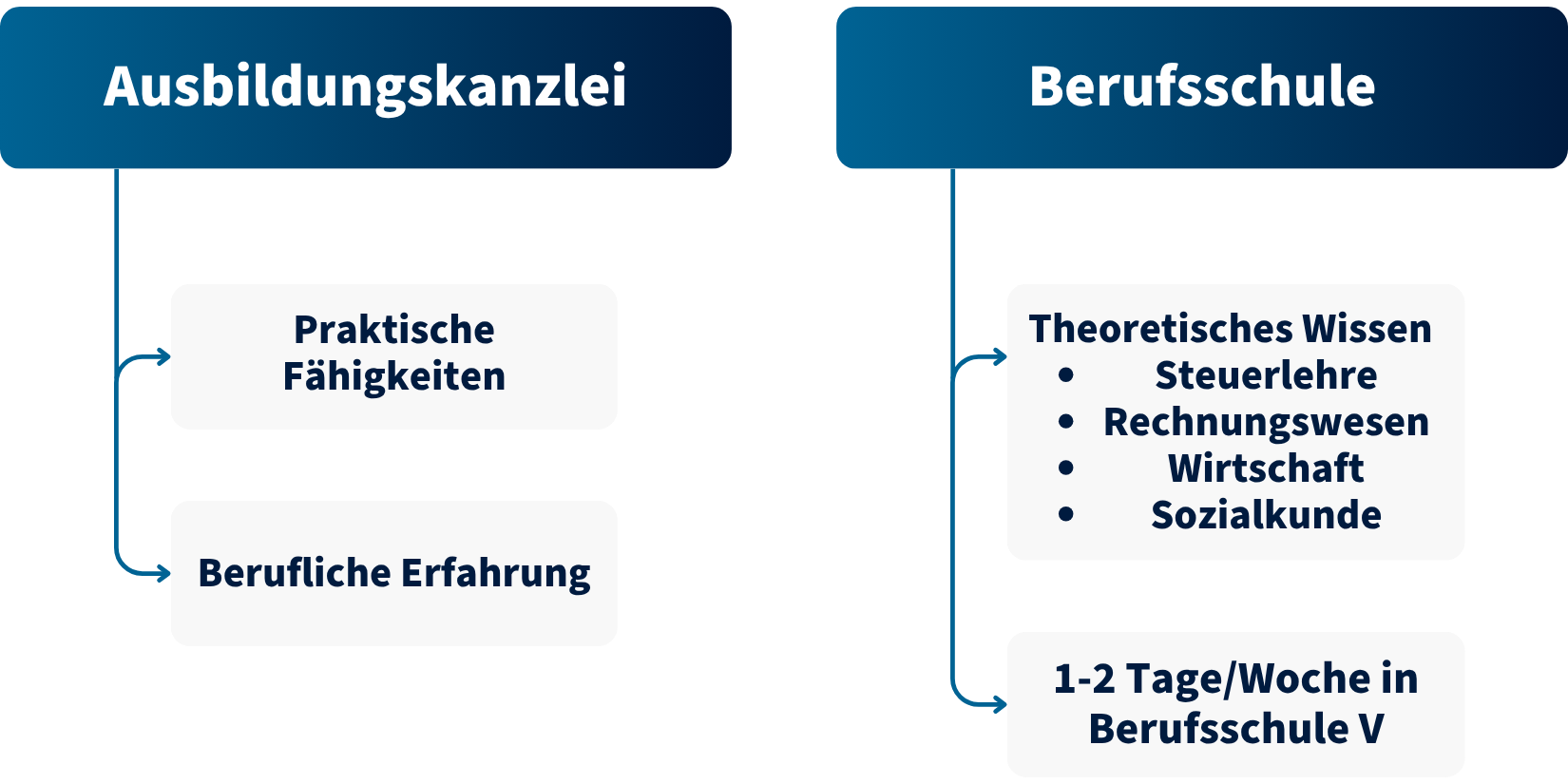 Grafische Darstellung Ausbildung Steuerfachangestellte/r