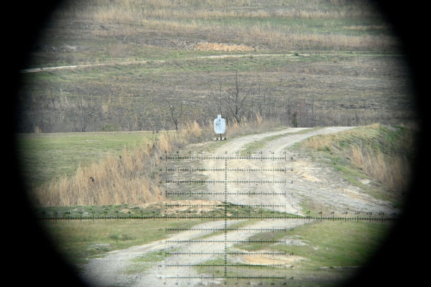 Photo by K. Kassens (2).jpg
