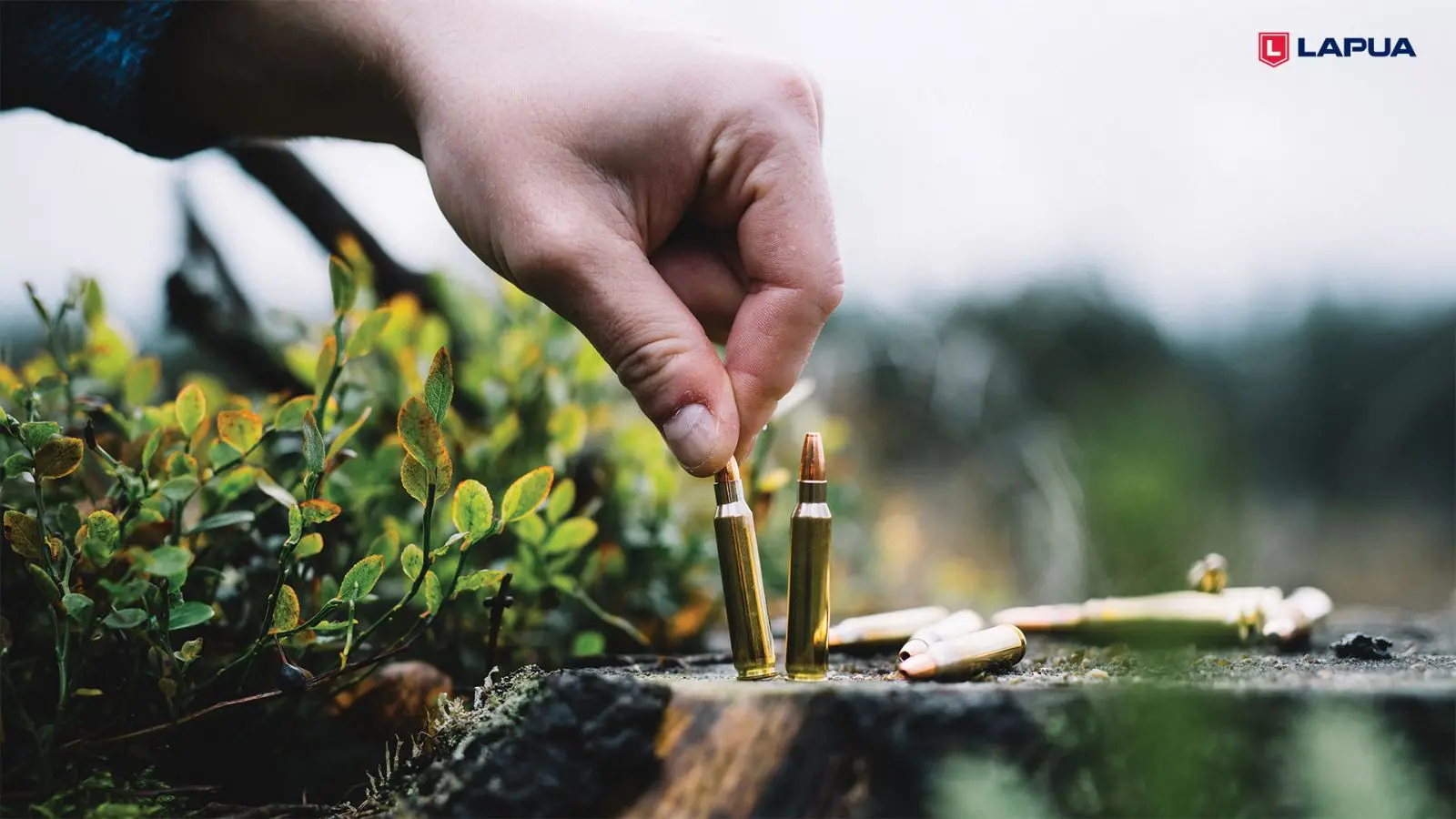 Lapua precision rifle ammunition for long-range shooting