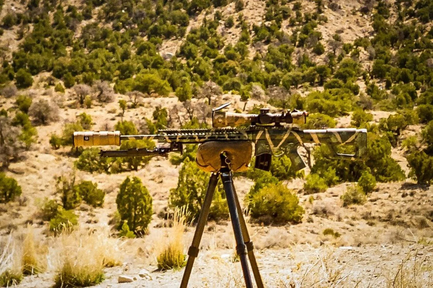 Precision Gas Gun Class