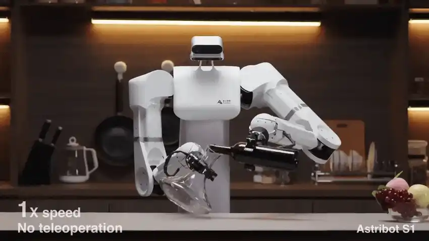 Humanoid robots becoming common in homes