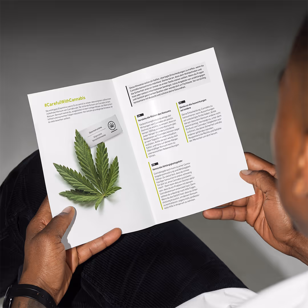 Die Innenseiten des DHS-Cannabis-Flyers