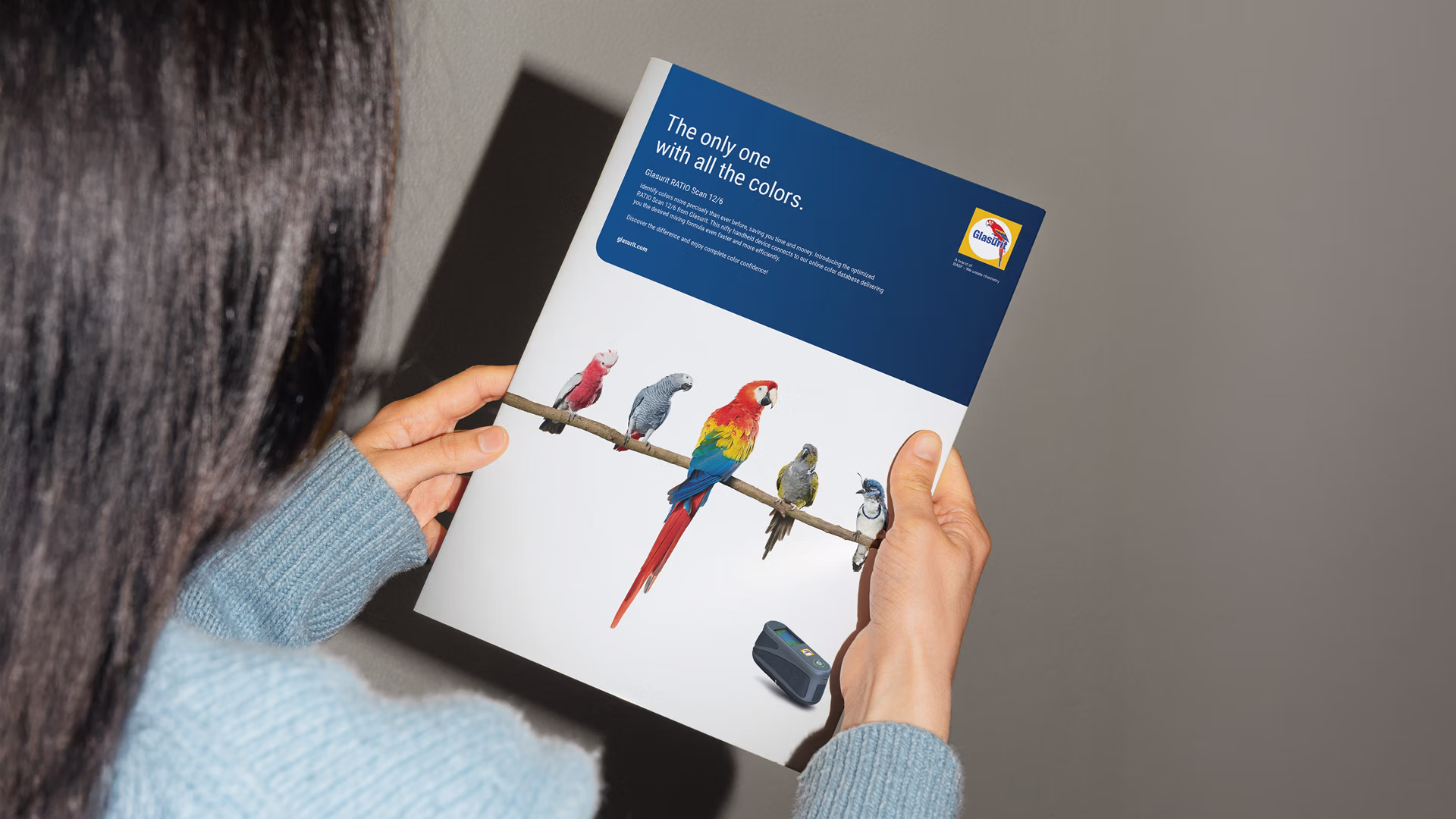Person hält ein Blatt mit fünf verschiedenen Papageien auf einem Ast und dem Text 'The only one with all the colors.'