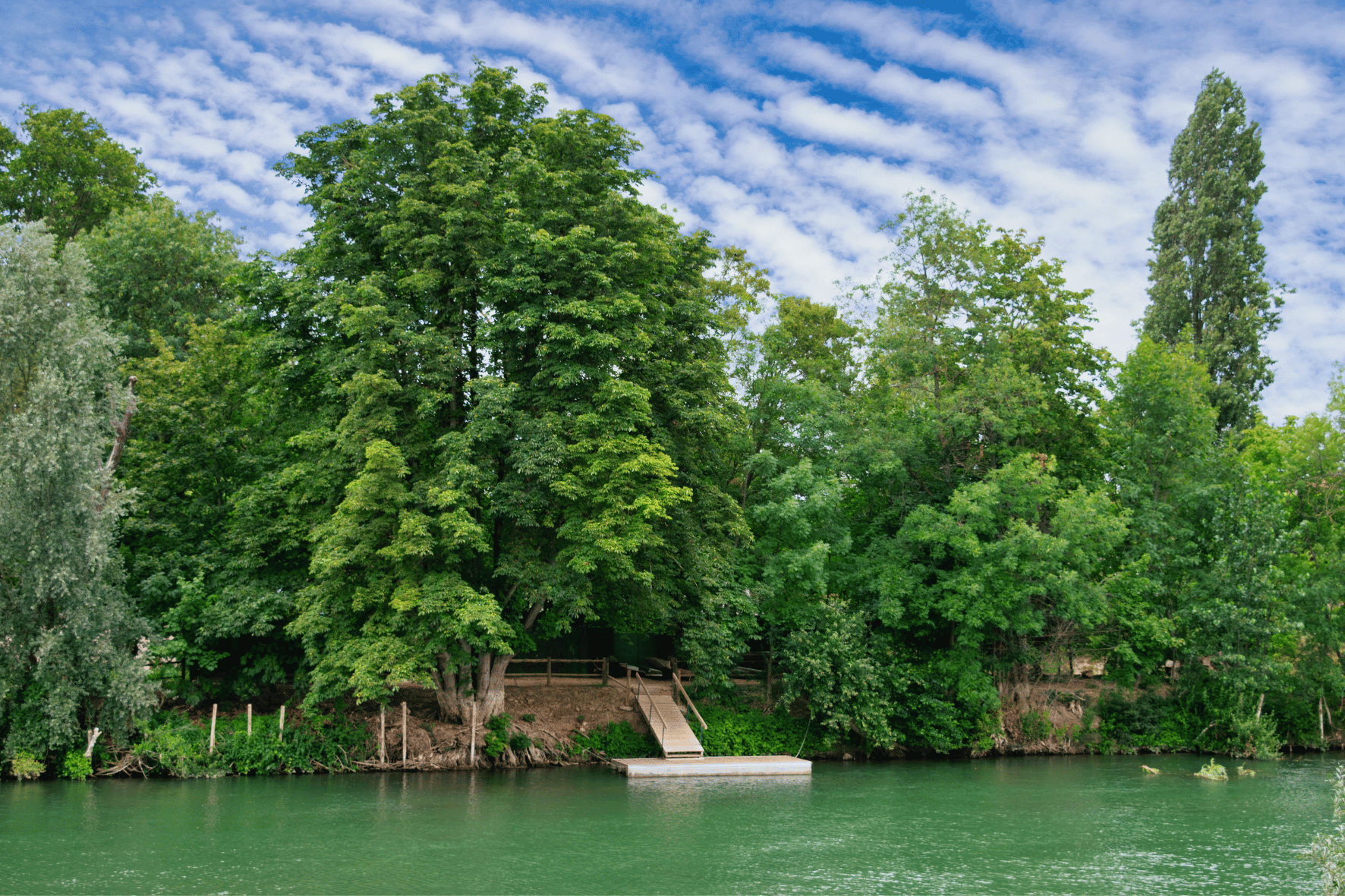 Nogent-sur-Marne – Private Electric Boat Cruise